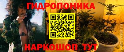 гашик Нарткала