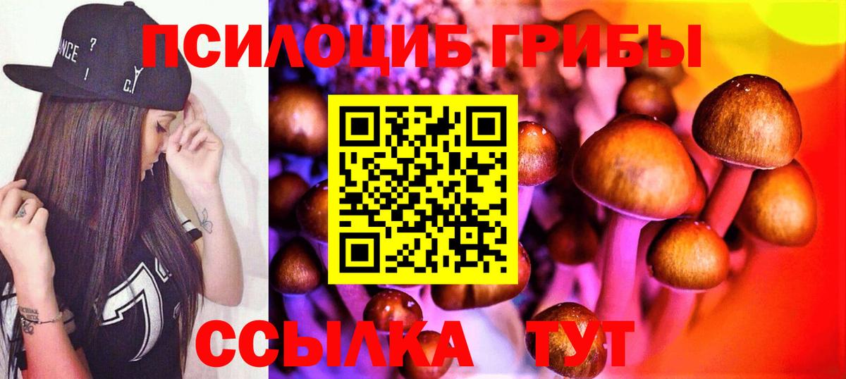 Псилоцибиновые грибы GOLDEN TEACHER  Вход с VPN  Артём  Псилоцибиновые грибы Cubensis 